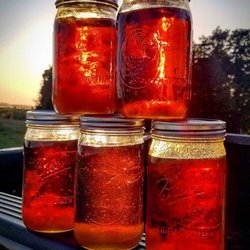 Rocky Ridge Hemp - High quality Kentucky grown cbd hemp distilate.