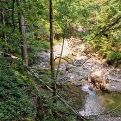 Starzlachklamm - Impressionen