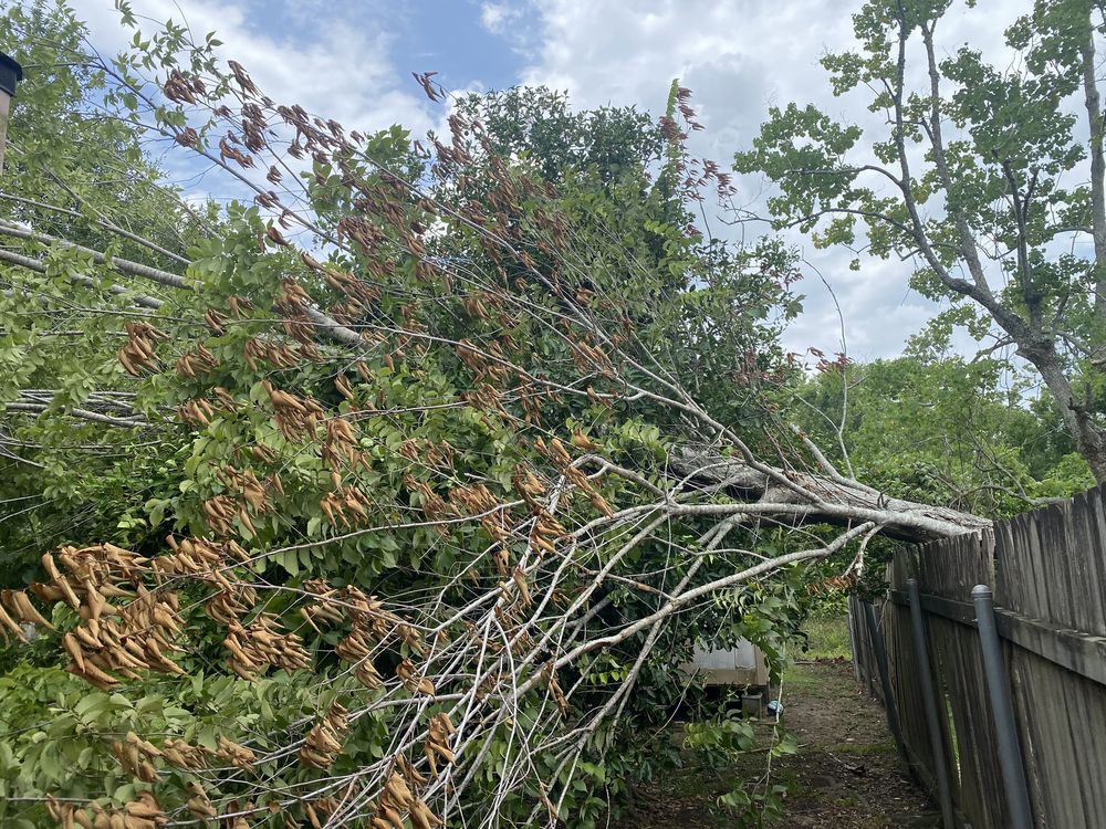 Kevin’s Tree Service - tree service in Luling, LA