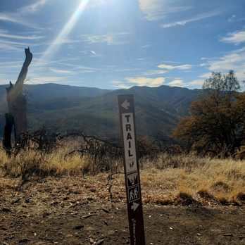 Cache Creek Natural Area - On the Redbud Trail. Know where you're going, because it's easy to get lost! - Hiking Near Me - Rumsey, California