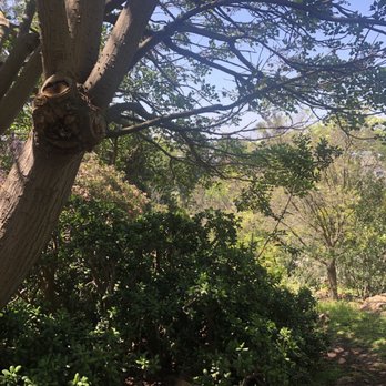 Edwin and Frances Hunter Arboretum - Walking down the trail. - Botanical Gardens Near Me - San Marcos, California