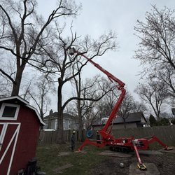 Absolute Tree Solutions - Aerial lift in the backyard