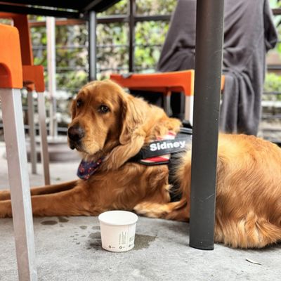 Snooze, an A.M. Eatery by null