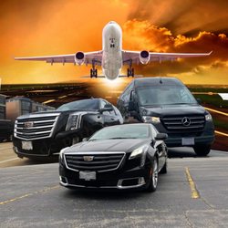 Tigers Limo