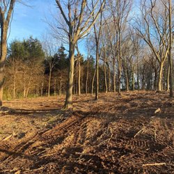 T and D Land Management