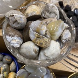 Crystalized sea shells