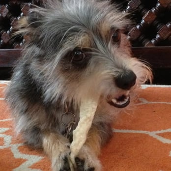 AnimalSavers - My happy baby from AnimalSavers - Pet Services Near Me