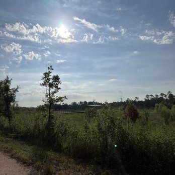 Memorial Park - Walking trail & scenery - Parks Near Me - Houston, Texas Memorial Park - Walking trail & scenery - Parks Near Me - Houston, Texas