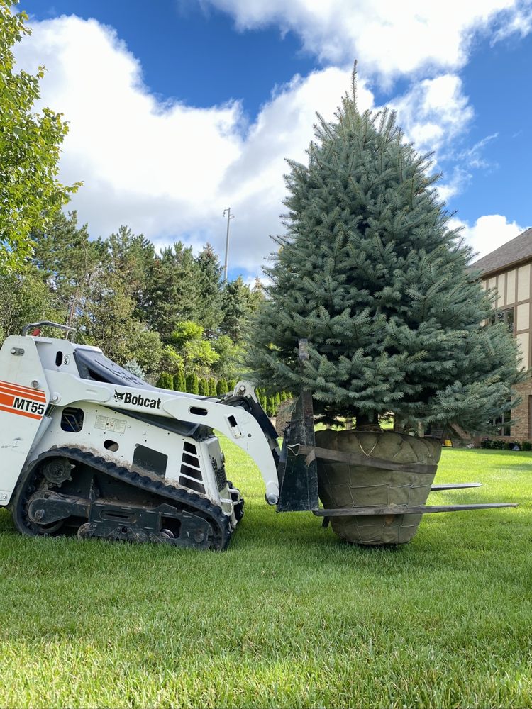 Terrascape Design & Build - tree service in Detroit, MI