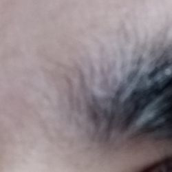 Smitty's Barber Shop - Eyebrows, after a Visit to Smitty's Barbershop and $25 for haircut