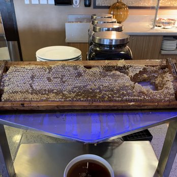 Miami Marriott Biscayne Bay - Fresh honey - Hotels Near Me - Miami, Florida Miami Marriott Biscayne Bay - Fresh honey - Hotels Near Me - Miami, Florida
