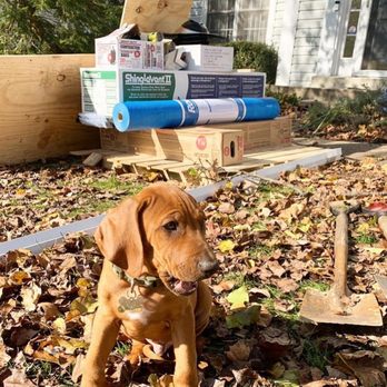 ROI Construction - Roofus - ROI Construction Mascot - On Roofing QC Duty! - Roofing Near Me - Millersville, Maryland ROI Construction - Roofus - ROI Construction Mascot - On Roofing QC Duty! - Roofing Near Me - Millersville, Maryland