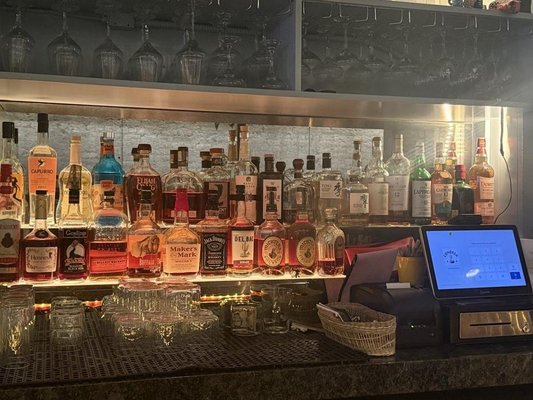 Condesa Phoenix by null