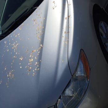 Shine Auto Wash - This is clean? - Car Wash Near Me - Vancouver, British Columbia