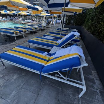 The Seabird Resort - Pool was beautiful - Resorts Near Me - Oceanside, California The Seabird Resort - Pool was beautiful - Resorts Near Me - Oceanside, California