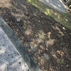 Ed’s Flores Landscaping