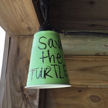 Gulf Drive Cafe - Cute - mute the lights for the nesting turtles with these cups. - Seafood Near Me - Bradenton Beach, Florida Gulf Drive Cafe - Cute - mute the lights for the nesting turtles with these cups. - Seafood Near Me - Bradenton Beach, Florida