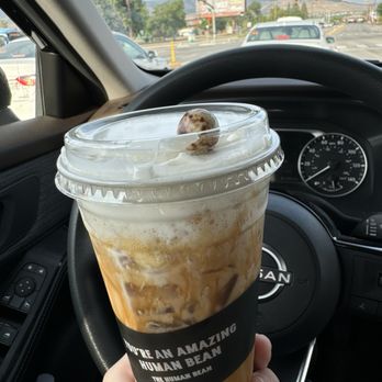 The Human Bean - Iced caramel cold brew with cold foam and a bean on the top - Coffee & Tea Near Me - Reno, Nevada The Human Bean - Iced caramel cold brew with cold foam and a bean on the top - Coffee & Tea Near Me - Reno, Nevada
