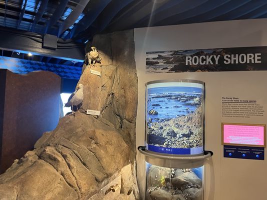 Museum of Natural History by null