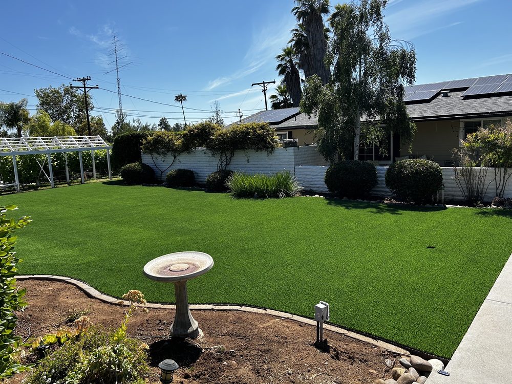 Tough Turtle Turf Reviews