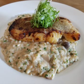 Cafe Hiro - Miso marinaded cod.  Texture and flavor was lacking. Maybe I was thinking of miso glazed cod?  Risotto pretty good. - Italian Near Me - Cypress, California