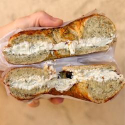 Bavarian Bagel - Dill pretzel with pickle cream cheese