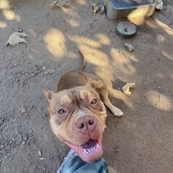 South Buena Vista Park - Hi Buddy!
