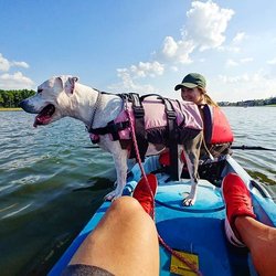 Lakes Edge Boat House