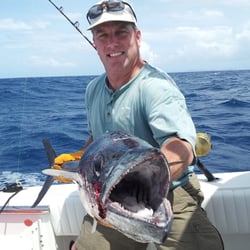 Maguro Fishing Charters - Kingfish again!
