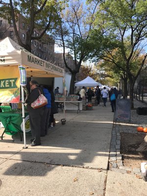 Sunnyside Greenmarket by null
