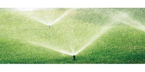 Slide of Nature Plus Lawn & Irragation
