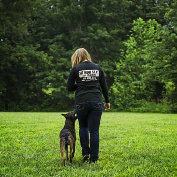 Sit Now Stay Dog Training - Scrabble exhibiting a focused heel - Pet Training Near Me - Lenexa, Kansas Sit Now Stay Dog Training - Scrabble exhibiting a focused heel - Pet Training Near Me - Lenexa, Kansas