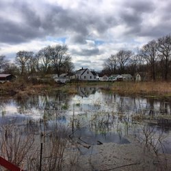 Gibson Woods Nature Preserve - Looking out over the marsh