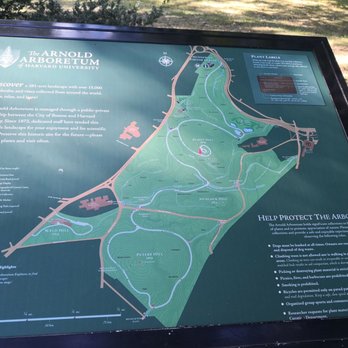 Arnold Arboretum - Parks Near Me - Boston, Massachusetts Arnold Arboretum - Parks Near Me - Boston, Massachusetts