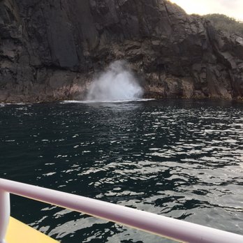 Bruny Island Cruises - Blow hole - Travel Services Near Me - Hobart, TAS