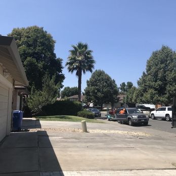 EG Tree Service - Tree Services Near Me EG Tree Service - Tree Services Near Me