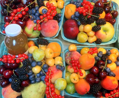 Old Strathcona Farmers' Market by null