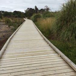 Onepoto Domain - New walkway in the park