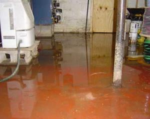 Slide of Rapid Rooter Sewer & Drain