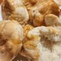 Photo of Krispy Krunchy Chicken