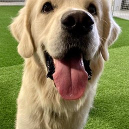 Happy to have the day to play. Happy to have the day to play.