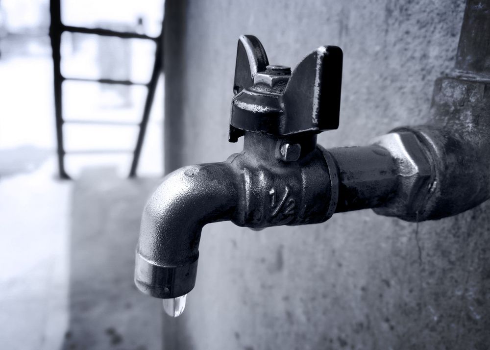 Slide of Rhino Rooter