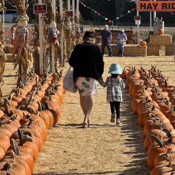 Pumpkin Station - Pumpkin Patches Near Me - San Diego, California Pumpkin Station - Pumpkin Patches Near Me - San Diego, California