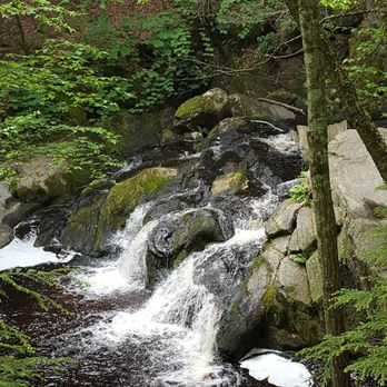 Enders State Forest - Parks Near Me - Granby, Connecticut