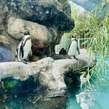Columbus Zoo and Aquarium - Zoos Near Me - Powell, Ohio