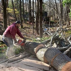 T&J Landscaping and Masonry - Tree removal.