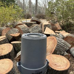 Total Brush Removal - Before photo of massive Red Oak slices that Jeremy and Will chopped into firewood.