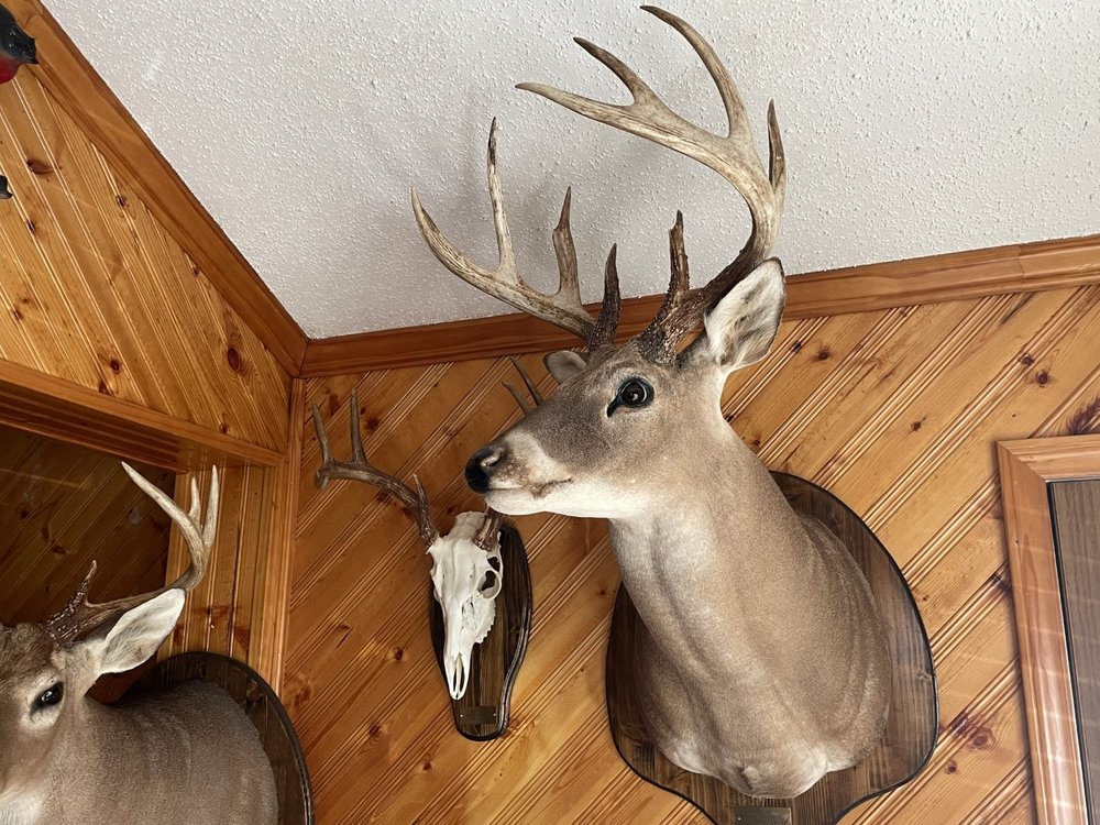 Mickey Herring Taxidermy - taxidermy in Columbia, SC