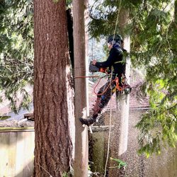 Happy Tree Care