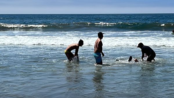 Sunset State Beach by null